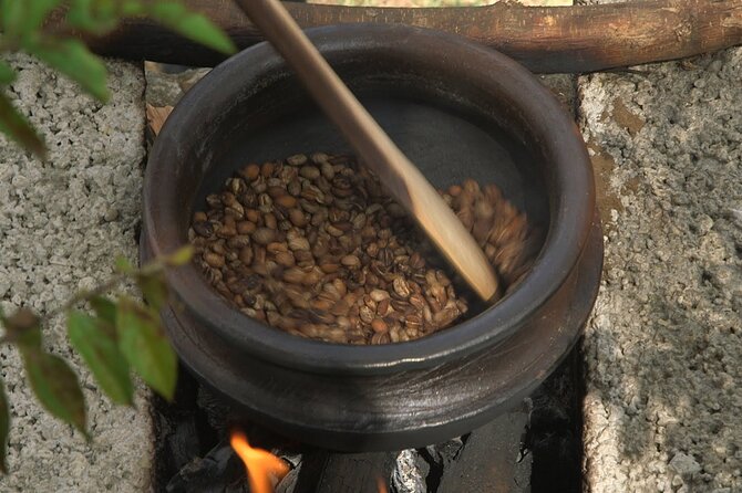 Private Meru Coffee Tour in Nkoaranga - How much value do you get for $35?