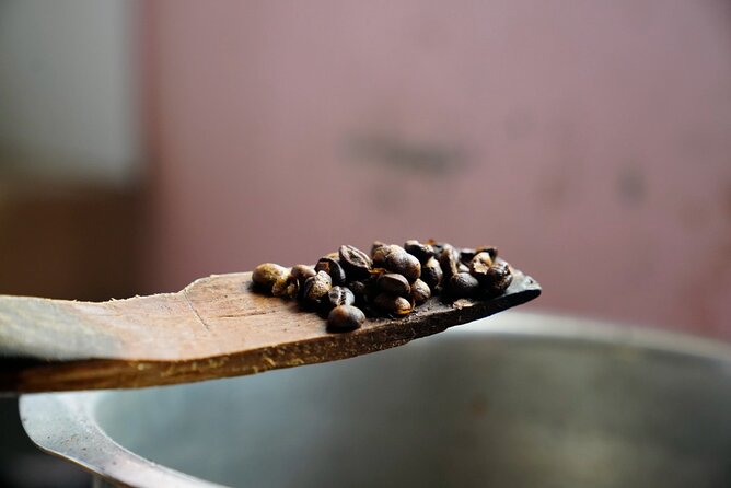 Private Meru Coffee Tour in Nkoaranga - Timing, access, and the practical details