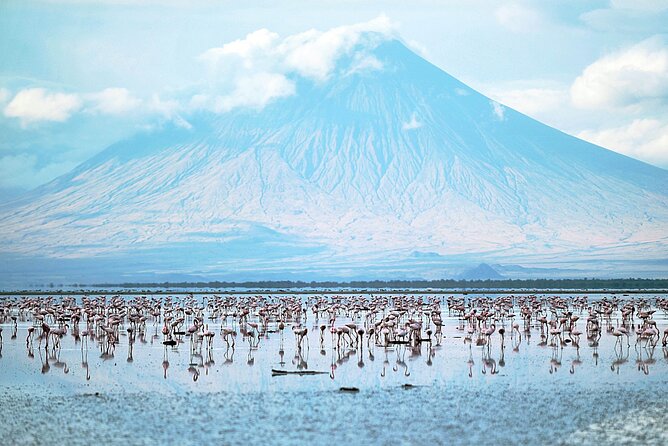 Private Multi day Safari tour in Tanzania - Days 5 and 6: From Olduvai Gorge to the Ngorongoro Crater floor