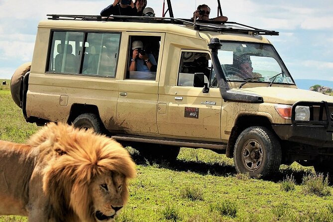 Private Multi Day Serengeti Safari - Five things to know before booking