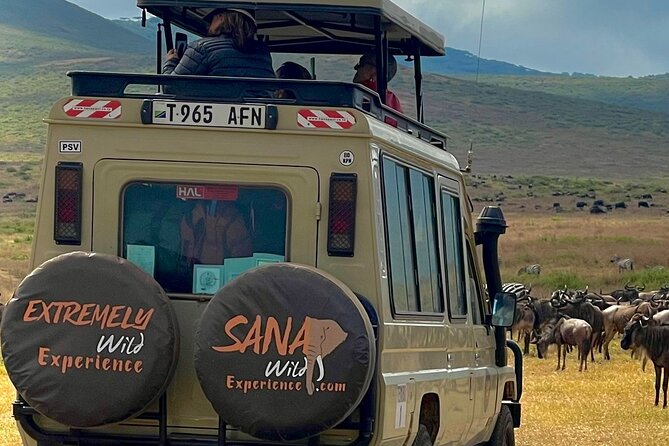 Private Multi Day Tour Tanzania Safari - Day 3: Ngorongoro Crater and the Road to Serengeti