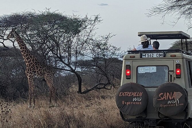 Private Multi Day Tour Tanzania Safari - Days 4 and 5: More Time in the Serengeti
