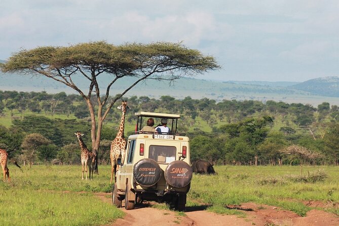 Private Multi Day Tour Tanzania Safari - The Guide Can Shape the Quality of the Safari
