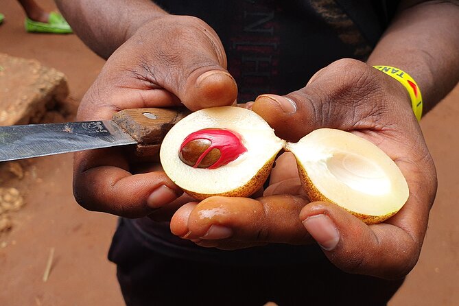 Private Spice Tour in Zanzibar with Pick Up - What the private format changes