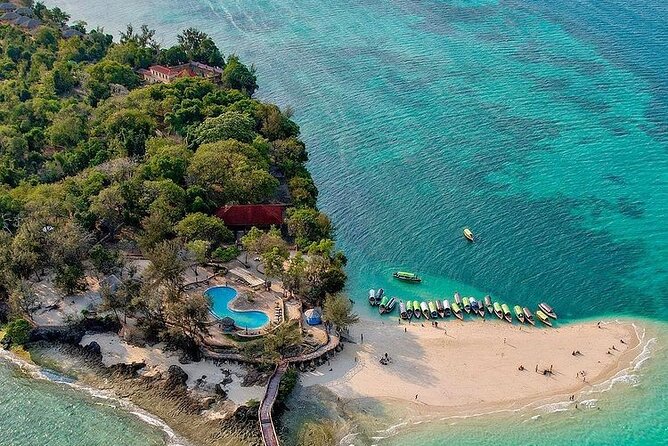 Private Stone Town, Nakupenda Beach and Prison Island Tour - Darajani Bazaar: The City’s Everyday Pulse