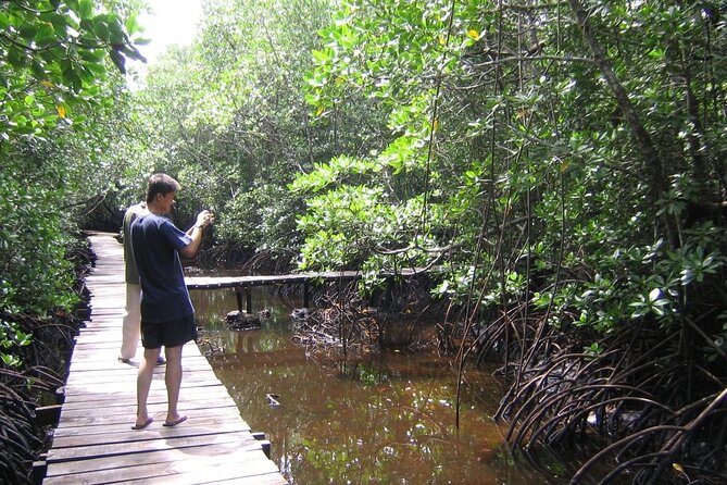 Private Stone Town & Spice Farm Tour - Jozani Forest and the red colobus encounter