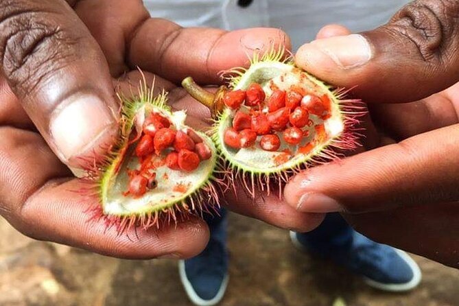 Private Stone Town & Spice Tour - Tangawizi Spice Farm: plants, fruit, and island agriculture