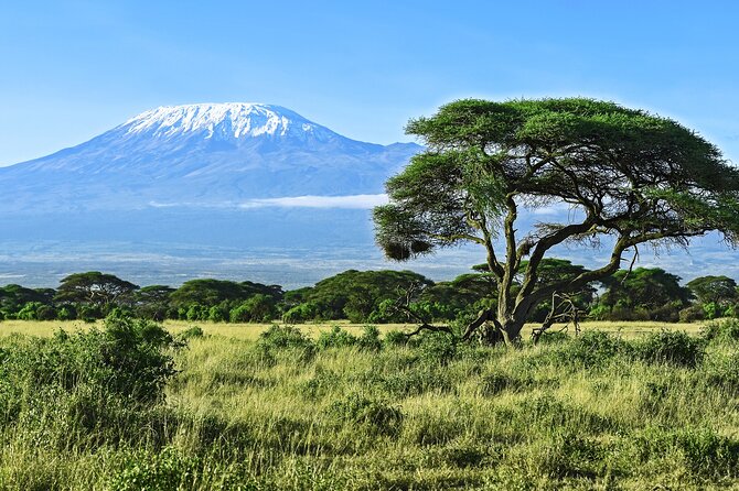 Private Tour to Marangu Waterfalls, Chagga Caves, Coffee tour & Hot Springs - Starting at 7:00 am from Arusha