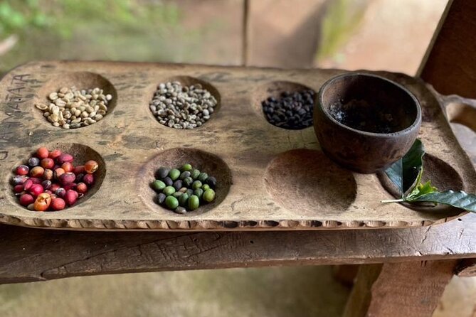 Private Tour to Marangu Waterfalls, Chagga Caves, Coffee tour & Hot Springs - Coffee from picking to your own cup