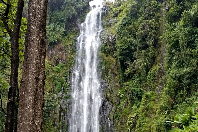 Private Tour to Materuni waterfalls, coffee tour & Kikuletwa hot- springs - The rough road to Kikuletwa Hot Springs