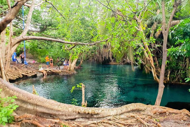 Private Tour to Materuni Waterfalls, coffee tour, Kikuletwa Hot Springs & Maasai - Why this Moshi day trip packs in so much