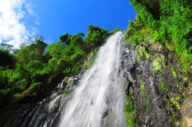 Private Tour to Materuni Waterfalls, coffee tour, Kikuletwa Hot Springs & Maasai - What the coffee activity is really worth