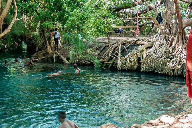 Private Tour to Materuni Waterfalls, coffee tour, Kikuletwa Hot Springs & Maasai - Meeting a Maasai community at the boma
