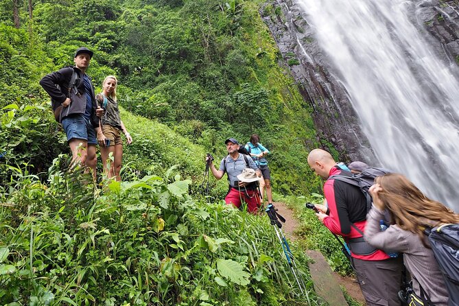 Private Tour to Materuni Waterfalls, coffee tour, Kikuletwa Hot Springs & Maasai - What the $80 price includes