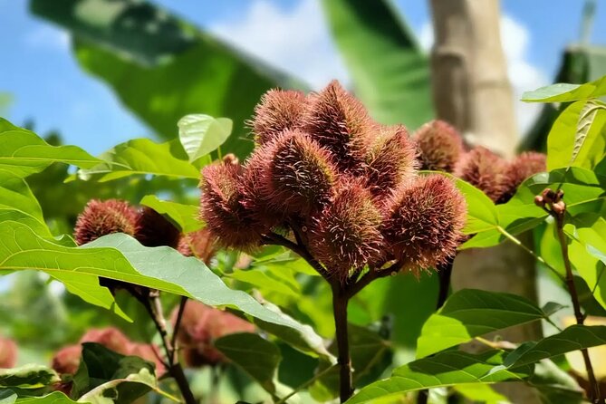 Private Tour Zanzibar Unique Stone Town with spice Farm Plantations - What $61 per person really covers