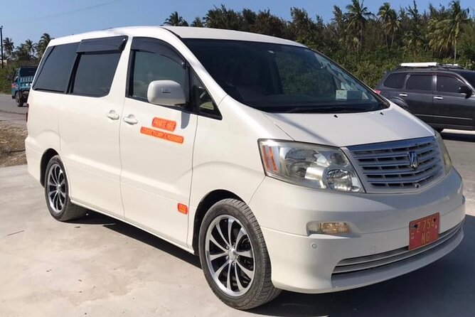 Private Transfer from Abeid Amani Karume Airport to Zanzibar - What the airport meeting should feel like