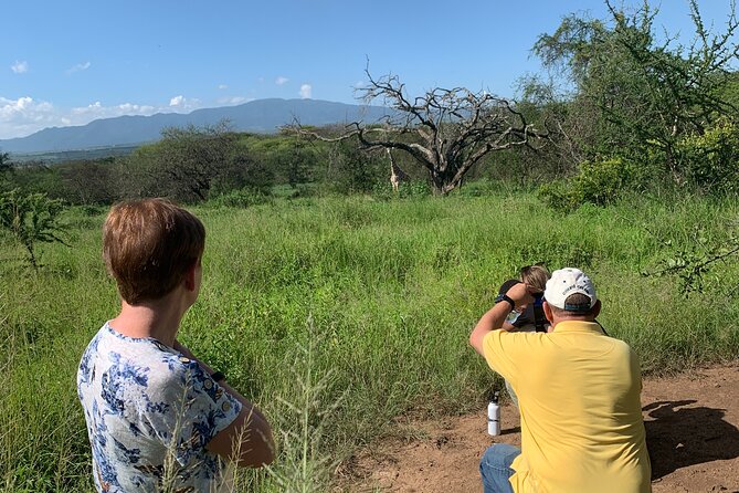 Private Walking Tour with Giraffes - Choosing morning or afternoon