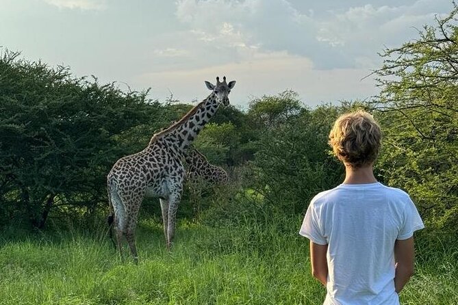 Private Walking Tour with Giraffes - Walking with giraffes in a natural setting