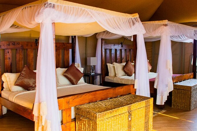 PRIVATE Wildebeest Calving Safari, Tanzania, January to March - Why January to March is the right season for this safari
