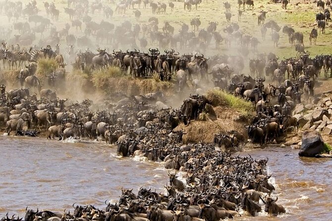 PRIVATE Wildebeest Calving Safari, Tanzania, January to March - Day 3: The long road to Serengeti National Park