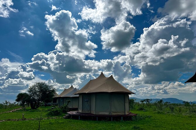 PRIVATE Wildebeest Calving Safari, Tanzania, January to March - Day 7: Ngorongoro Crater and the return to Moshi