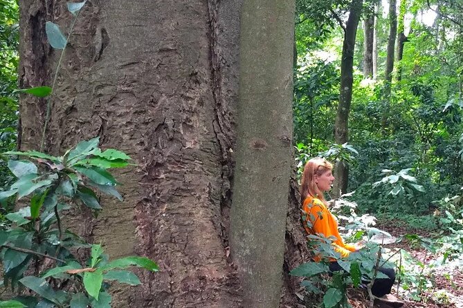 Rau Forest Bike tour - Starting at 9:00 am With Kili Bike Adventures