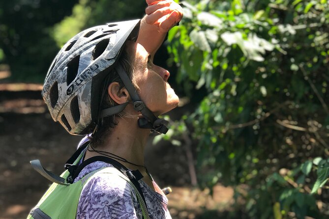 Rau Forest Bike tour - Cycling Through TPC Sugar Cane Country