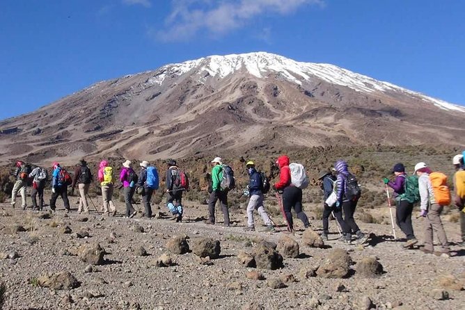 Rongai Route 6 Days 5 Nights/Kilimanjaro climb - The real story behind the Rongai Route name