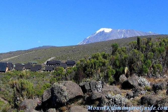 Rongai Route 6 Days 5 Nights/Kilimanjaro climb - Day 4: Crossing the saddle to Kibo Hut