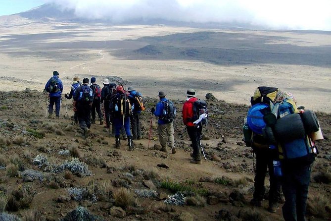 Rongai Route 6 Days 5 Nights/Kilimanjaro climb - Day 6: Descending through forest to Marangu Gate