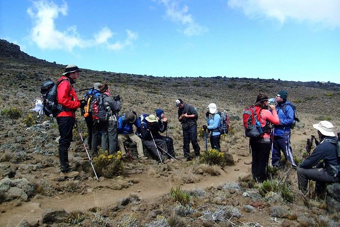 Rongai Route 6 Days 5 Nights/Kilimanjaro climb - Day 2: Second Cave to Kikelelwa at 3,800 meters