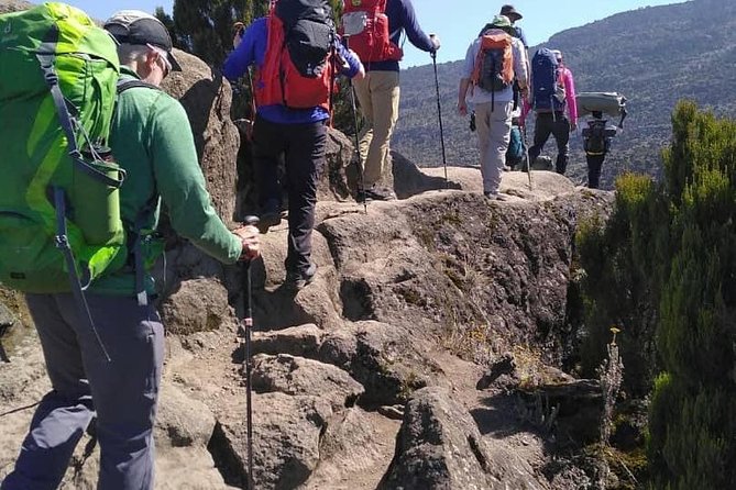 Rongai Route 7 Days - Day 3: Second Cave to Kikelewa Camp