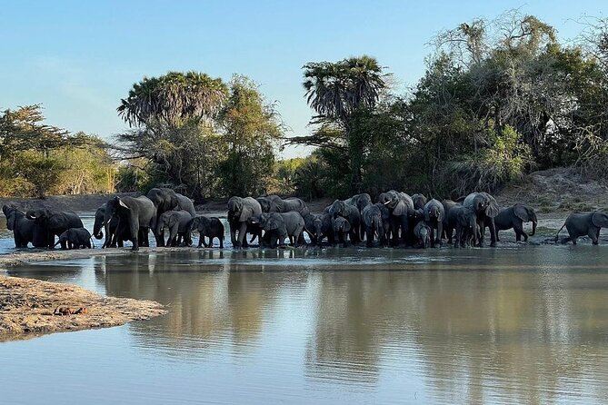 Saadani National Park Day Tour - Key points to know before you book