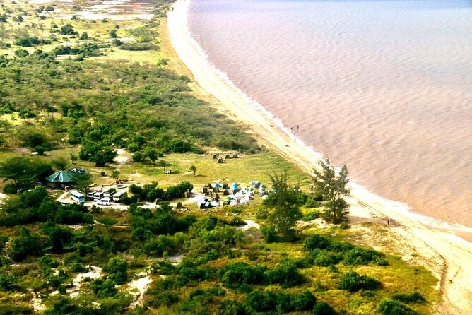 Saadani National Park Day Tour - Why Saadani feels different from an inland safari