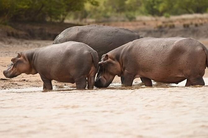 Saadani National Park Day Tour - The 6:00 am pickup from Dar es Salaam