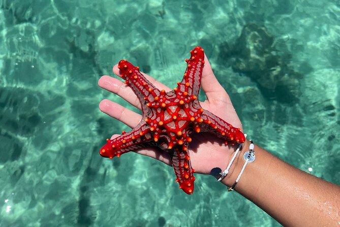 Safari Blue Zanzibar - One hour on the sandbank