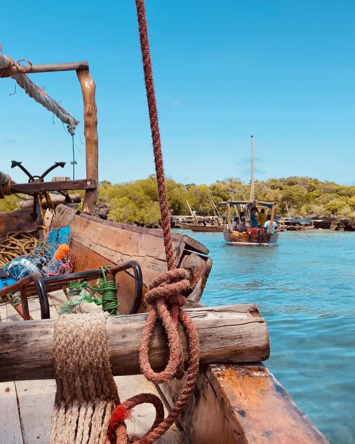 SAFARI BLUE ZANZIBAR : PRIVATE TRIP - Key things to know before booking