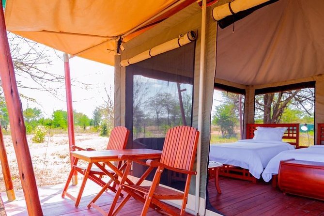 Safari & Culture - Day 3: A full Serengeti game drive