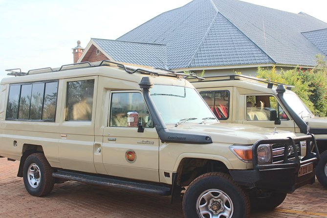 Safari & Culture - Day 4: Down into Ngorongoro Crater