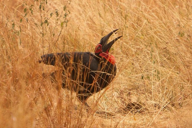 Safari & Culture - Is $2,572.31 good value?