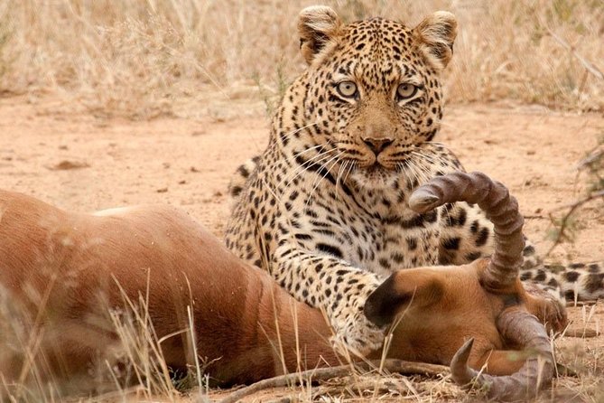 Safari Excelente y Safari lujos Tanzania - What the $7,851.24 price really means