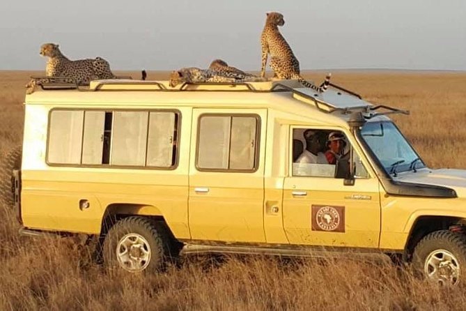 Safari in Tanzania 5 days: Manyara, Ngorongoro, Serengeti - What the $3,050 price really covers