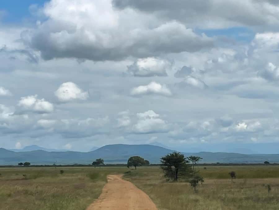SAFARI WILDLIFE FROM ZANZIBAR TO MIKUMI 3 DAYS AND 2 NIGHTS - Accommodation, meals, and daily comfort