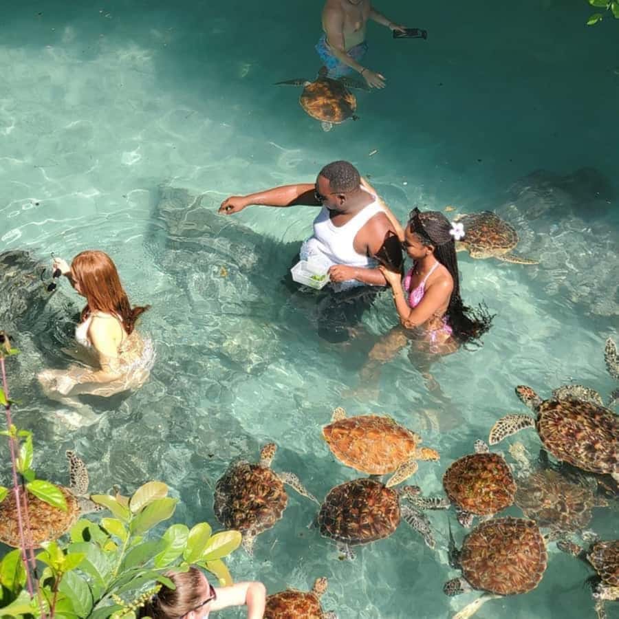 SALAAM CAVE: Swim with turtles & Dine at The Rock Restaurant - Swimming inside Salaam Cave