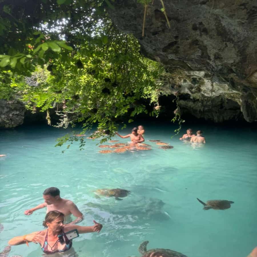SALAAM CAVE: Swim with turtles & Dine at The Rock Restaurant - The first hour on the road
