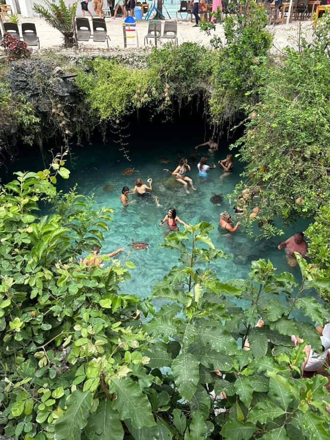 Salaam Cave Swimming & feeding Sea Turtles in Kizimkazi - Is $81 good value?