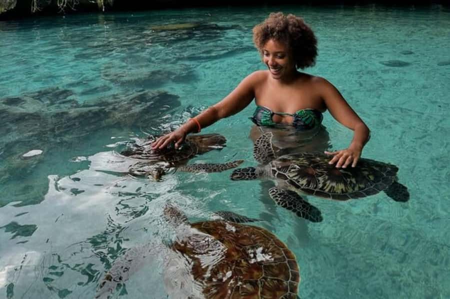 Salaam Cave Swimming & feeding Sea Turtles in Kizimkazi - Tips for a better turtle encounter