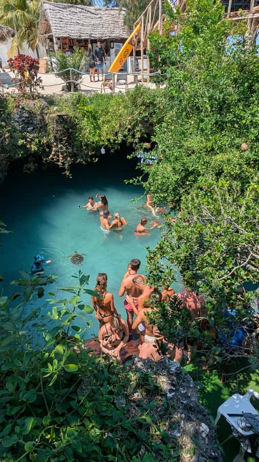 Salaam Cave Swimming with turtles, Mtende Beach & The Rock - Transport, timing, and the private setup