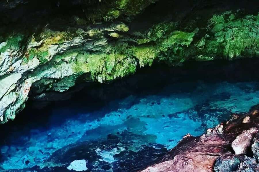 Salaam Cave Tour, Kuza Cave, Paje Beach, Lunch at The Rock - Jozani Forest gives the day a natural start