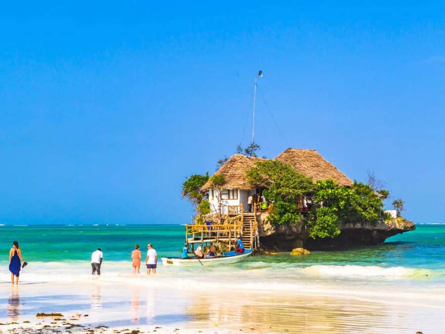 Salaam Cave Tour, Lunch at The Rock, Mnemba Dolphin Tour - Comfort, pace, and who should book